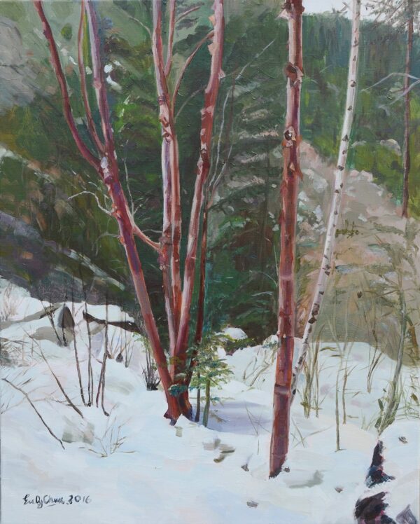 Red Birches