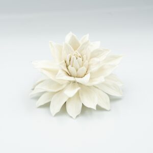 Beige Dahlia