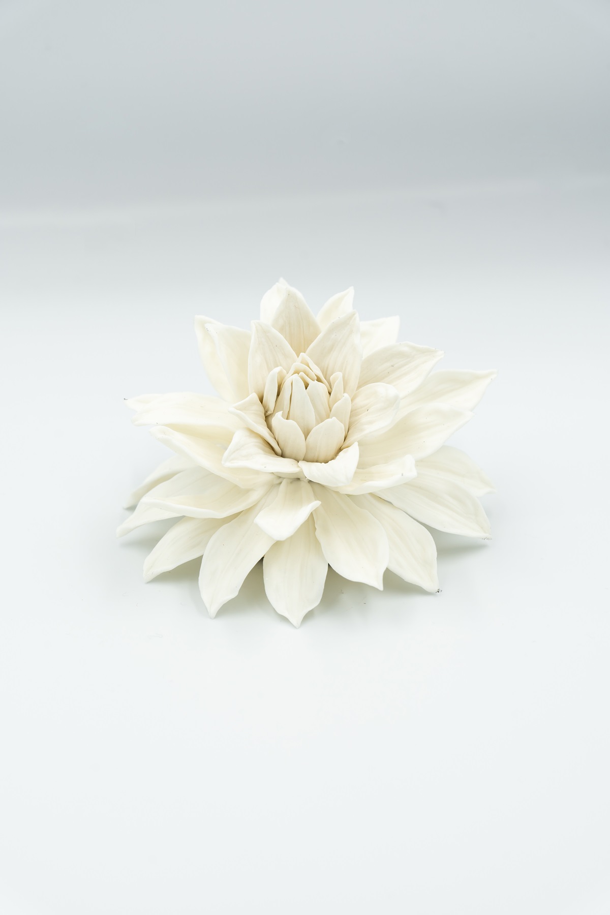 Beige Dahlia