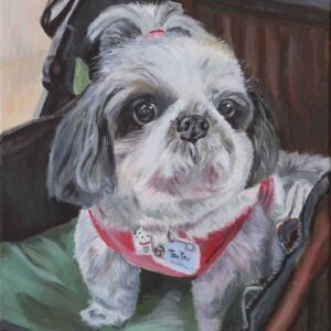 Big Eyes Shih Tzu 51x40.6cm Acyrlic on Canvas 2024