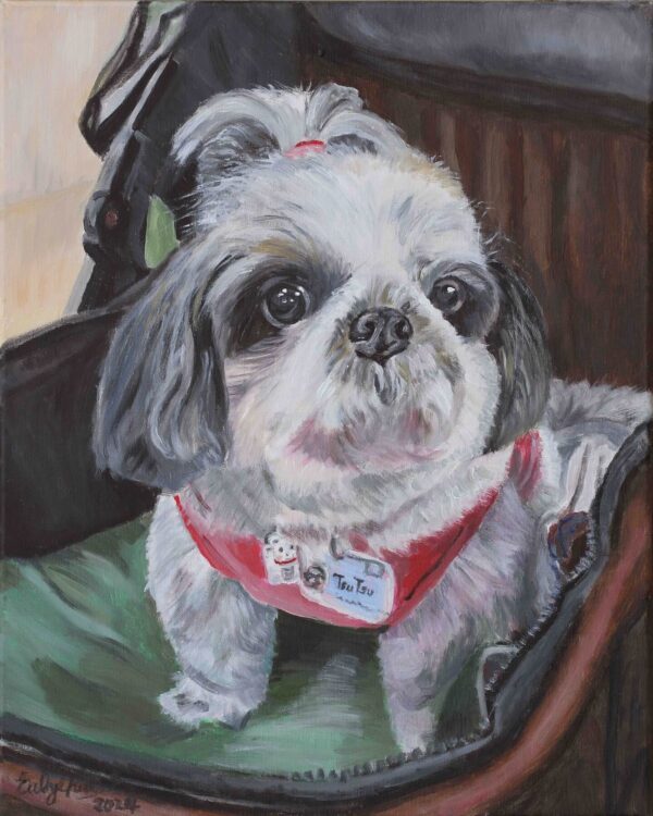 Big Eyes Shih Tzu 51x40.6cm Acyrlic on Canvas 2024