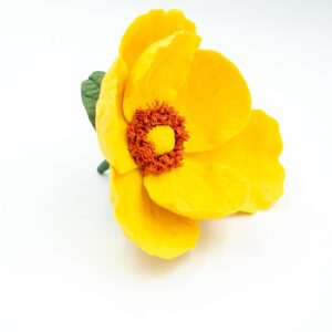 Canary Yellow Poppy