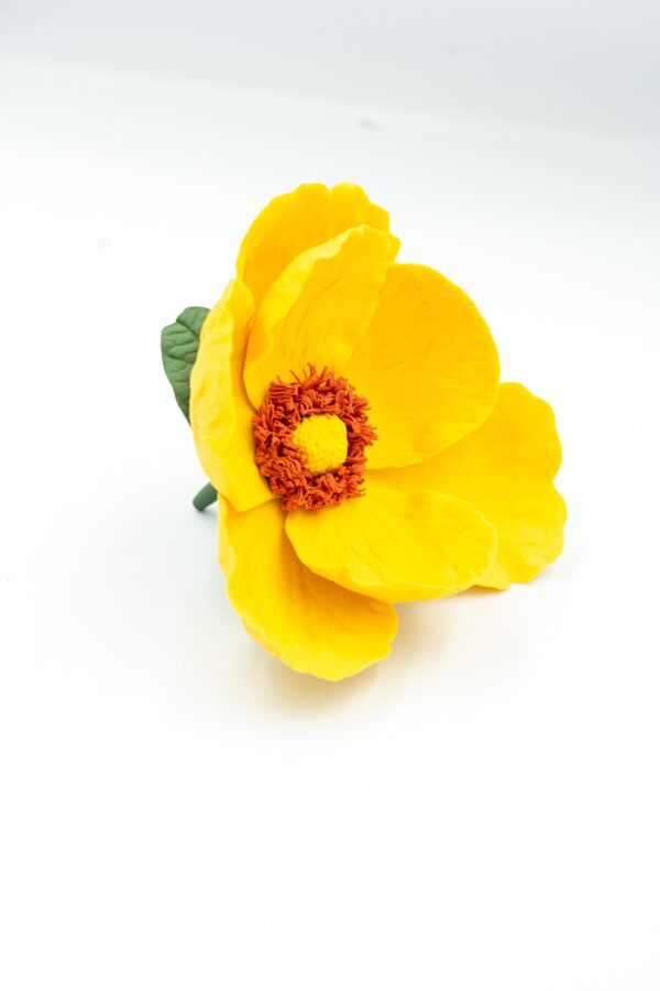 Canary Yellow Poppy