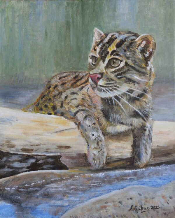 Fishing Cat 50x40cm Acrylic on Canvas 2023