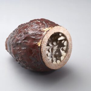 ISSUES The Pangolin 2024 Ceramic 28 x 36 x 23cm