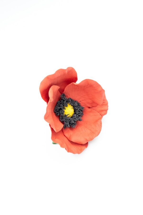 Red Poppy