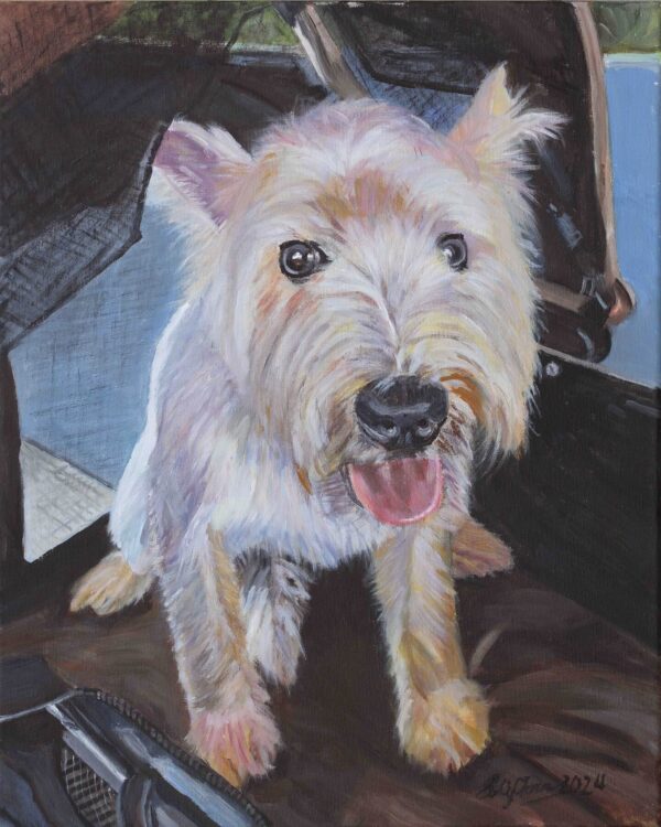 Teddy Westie 51x40cm Acrylic on Canvas 2024